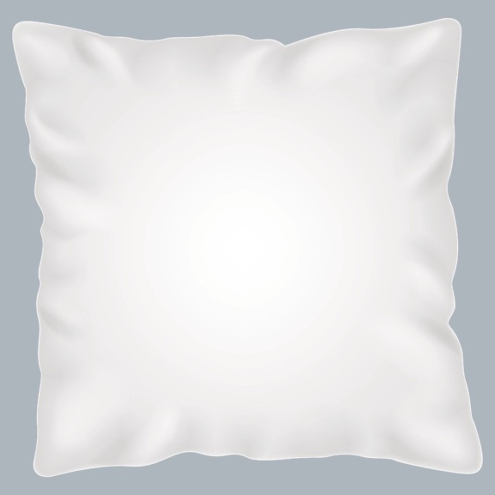 Coussin personnalisé unique - Fabriqué en Belgique | MonObjet.be